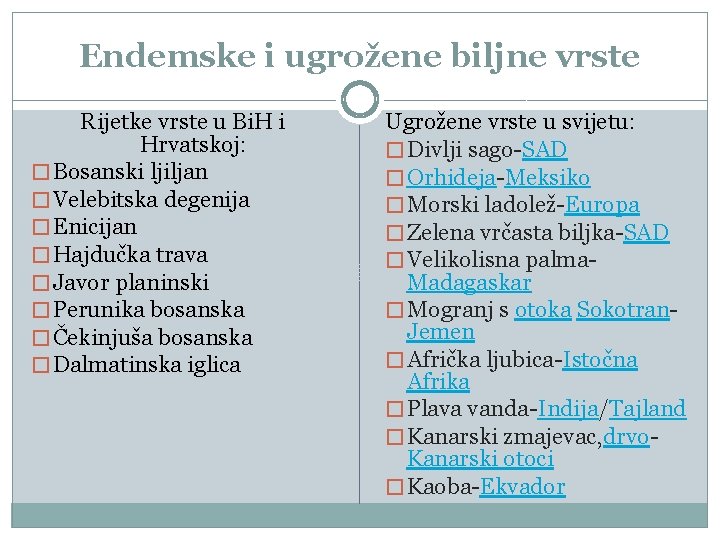 Endemske i ugrožene biljne vrste Rijetke vrste u Bi. H i Hrvatskoj: � Bosanski