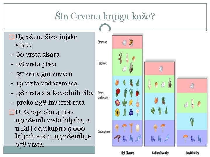 Šta Crvena knjiga kaže? � Ugrožene životinjske vrste: - 60 vrsta sisara - 28