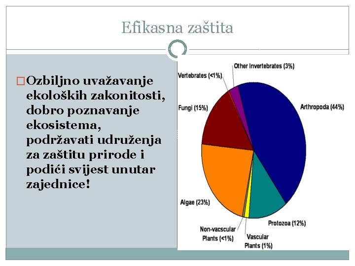 Efikasna zaštita �Ozbiljno uvažavanje ekoloških zakonitosti, dobro poznavanje ekosistema, podržavati udruženja za zaštitu prirode