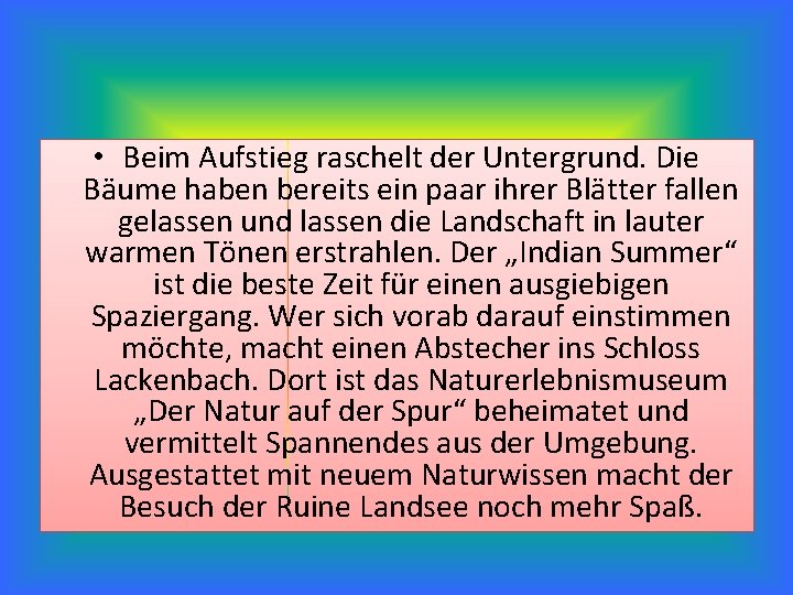  • Beim Aufstieg raschelt der Untergrund. Die Bäume haben bereits ein paar ihrer