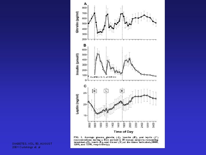 DIABETES, VOL. 50, AUGUST 2001 Cummings et. al 