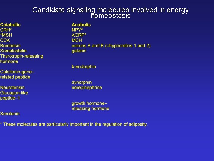 Candidate signaling molecules involved in energy homeostasis 