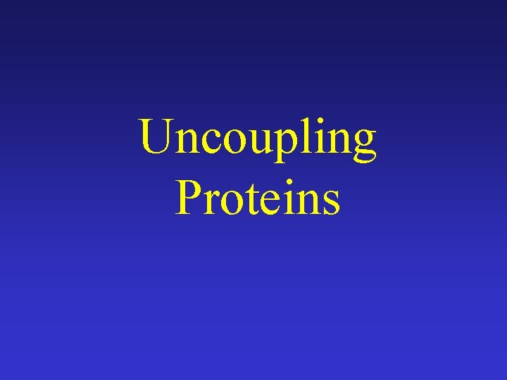 Uncoupling Proteins 