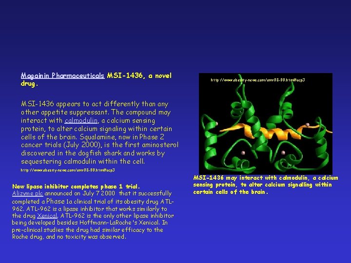 Magainin Pharmaceuticals MSI-1436, a novel drug. http: //www. obesity-news. com/omr 08 -00. htm#ucp 3