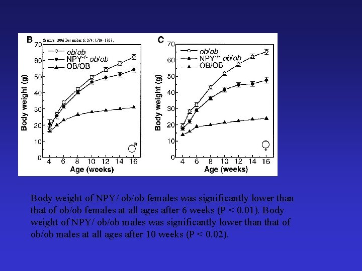 Science 1996 December 6; 274: 1704 -1707. Body weight of NPY/ ob/ob females was