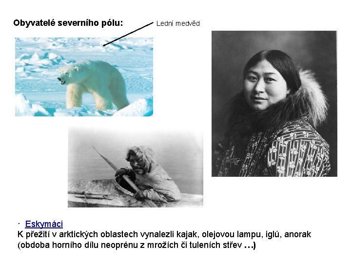Obyvatelé severního pólu: Lední medvěd · Eskymáci K přežití v arktických oblastech vynalezli kajak,