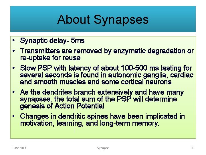 About Synapses • Synaptic delay- 5 ms • Transmitters are removed by enzymatic degradation