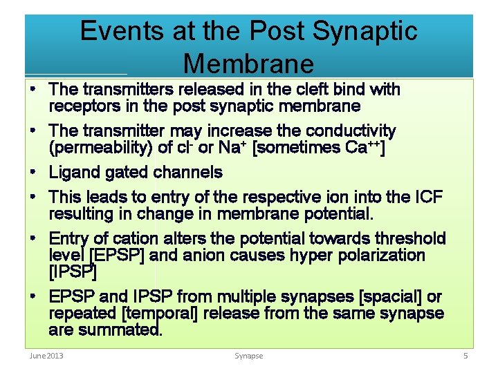 Events at the Post Synaptic Membrane • The transmitters released in the cleft bind
