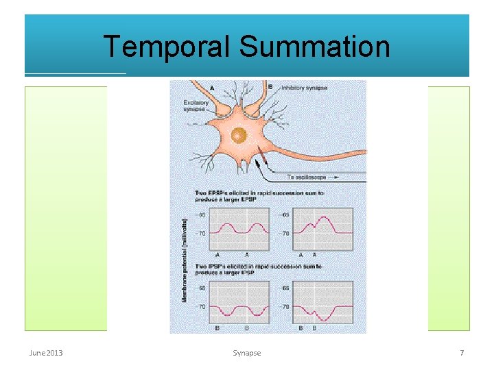 Temporal Summation June 2013 Synapse 7 