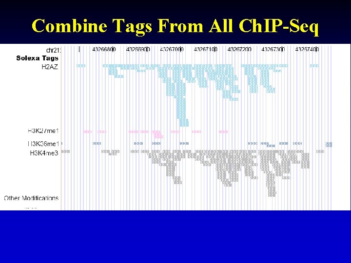 Combine Tags From All Ch. IP-Seq 