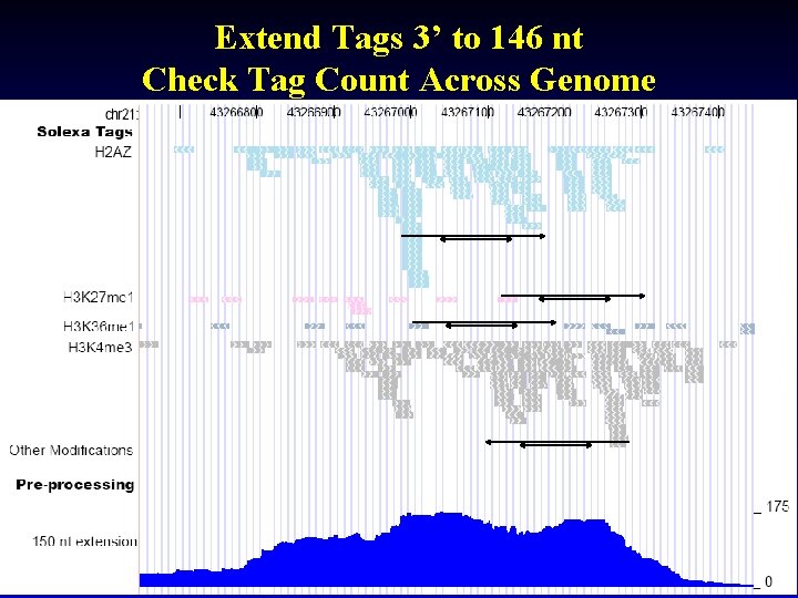 Extend Tags 3’ to 146 nt Check Tag Count Across Genome 