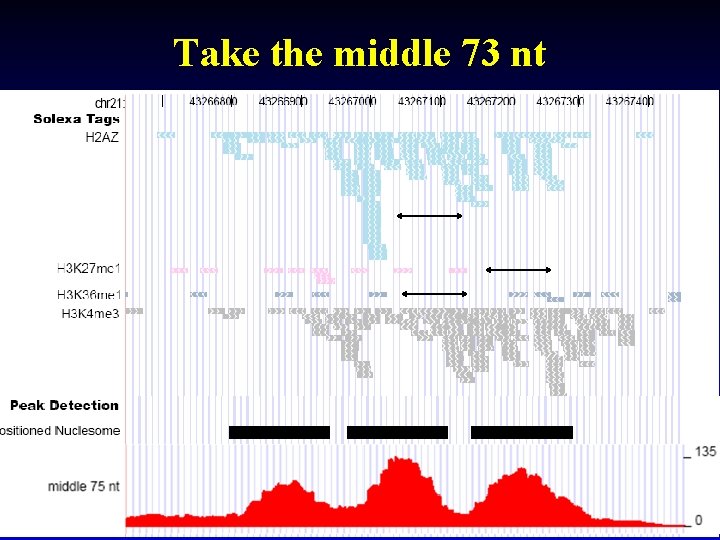 Take the middle 73 nt 