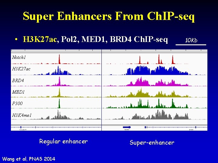 Super Enhancers From Ch. IP-seq • H 3 K 27 ac, Pol 2, MED