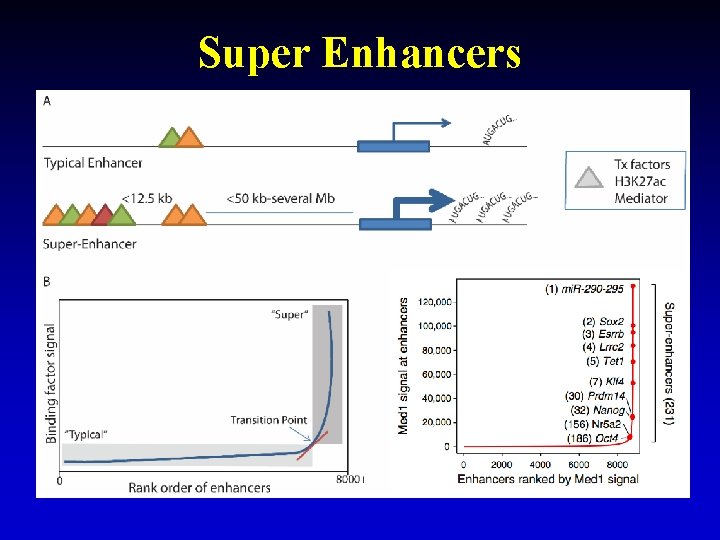 Super Enhancers 