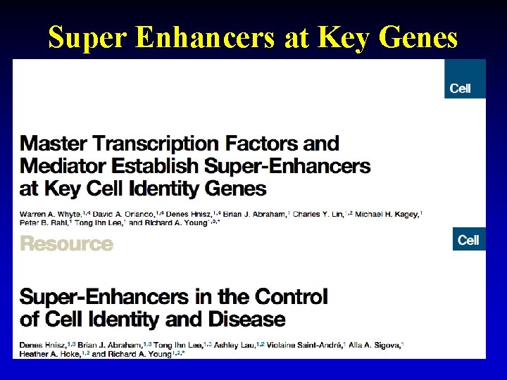 Super Enhancers at Key Genes 21 