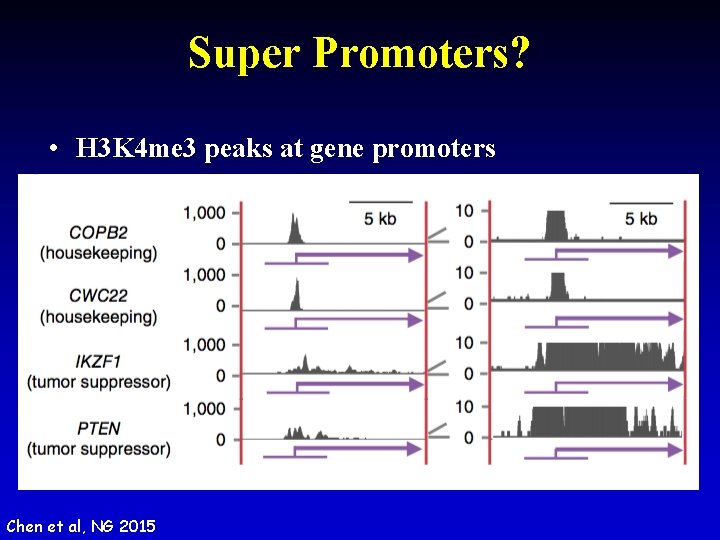 Super Promoters? • H 3 K 4 me 3 peaks at gene promoters Chen