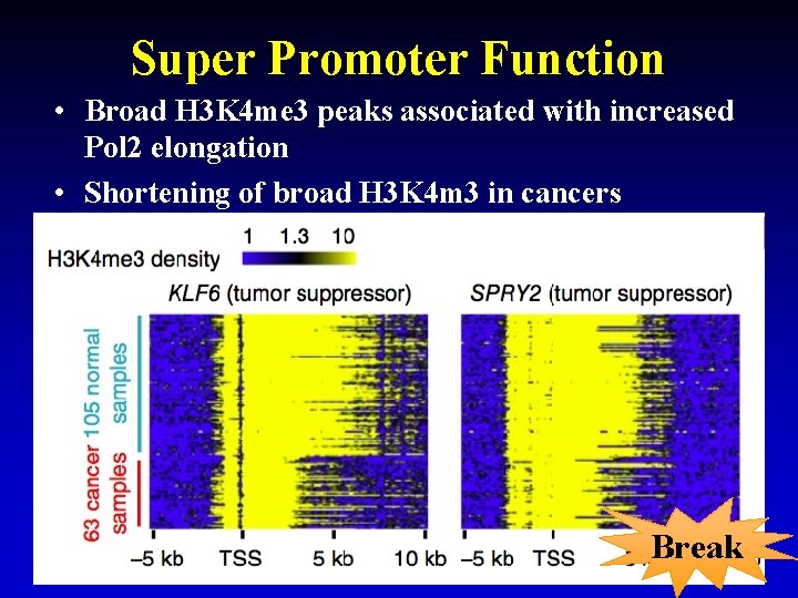 Super Promoter Function • Broad H 3 K 4 me 3 peaks associated with