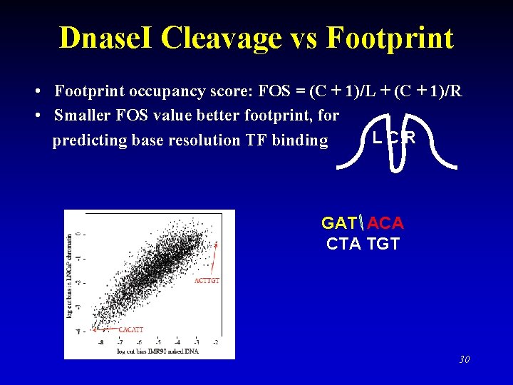 Dnase. I Cleavage vs Footprint • Footprint occupancy score: FOS = (C + 1)/L