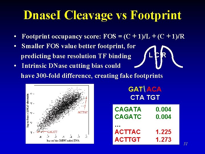 Dnase. I Cleavage vs Footprint • Footprint occupancy score: FOS = (C + 1)/L