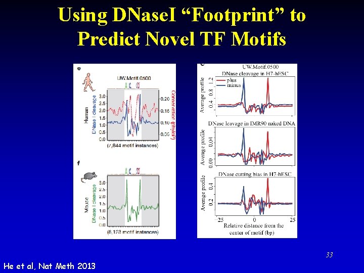 Using DNase. I “Footprint” to Predict Novel TF Motifs 33 He et al, Nat