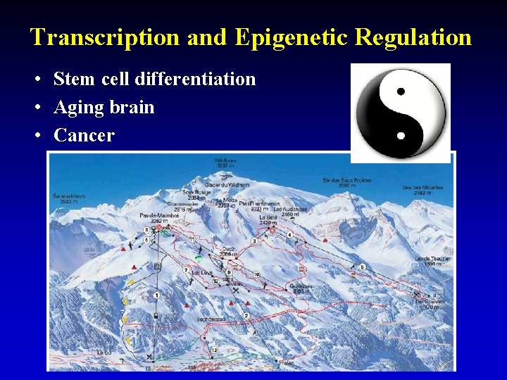 Transcription and Epigenetic Regulation • Stem cell differentiation • Aging brain • Cancer 