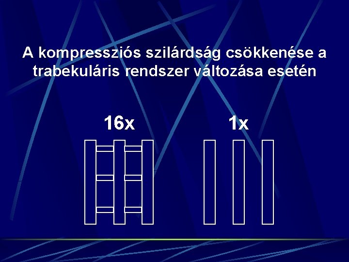 A kompressziós szilárdság csökkenése a trabekuláris rendszer változása esetén 16 x 1 x 