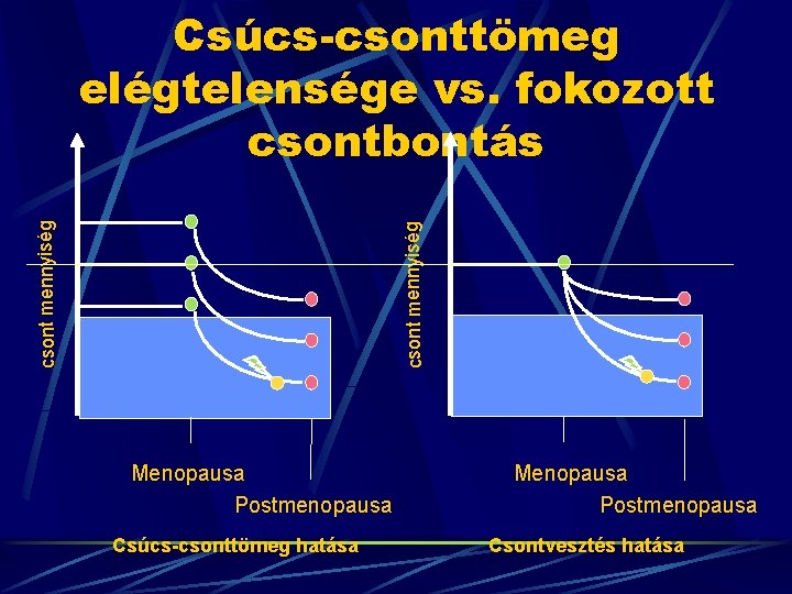 csont mennyiség Csúcs-csonttömeg elégtelensége vs. fokozott csontbontás Menopausa Postmenopausa Csúcs-csonttömeg hatása Menopausa Postmenopausa Csontvesztés