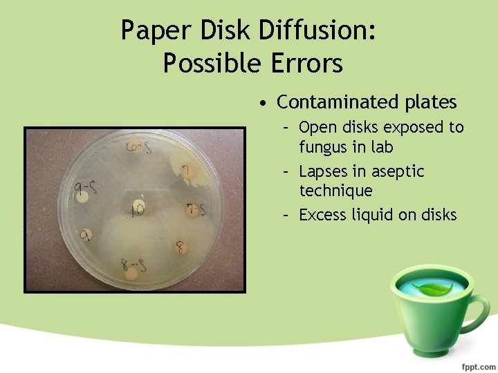 Paper Disk Diffusion: Possible Errors • Contaminated plates – Open disks exposed to fungus