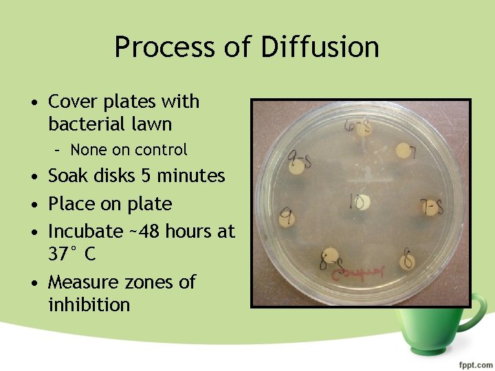 Process of Diffusion • Cover plates with bacterial lawn – None on control •