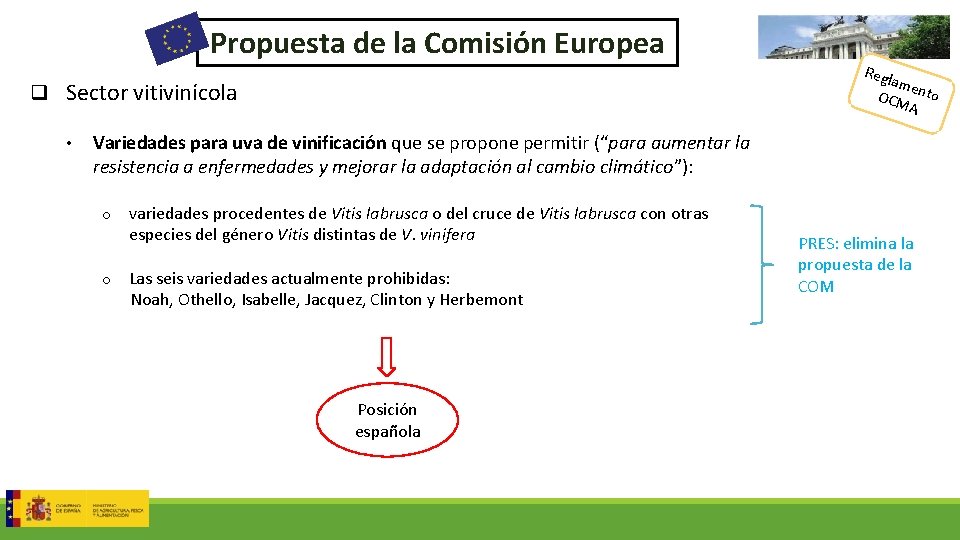 Propuesta de la Comisión Europea q Sector vitivinícola • Regl ame OCM nto A