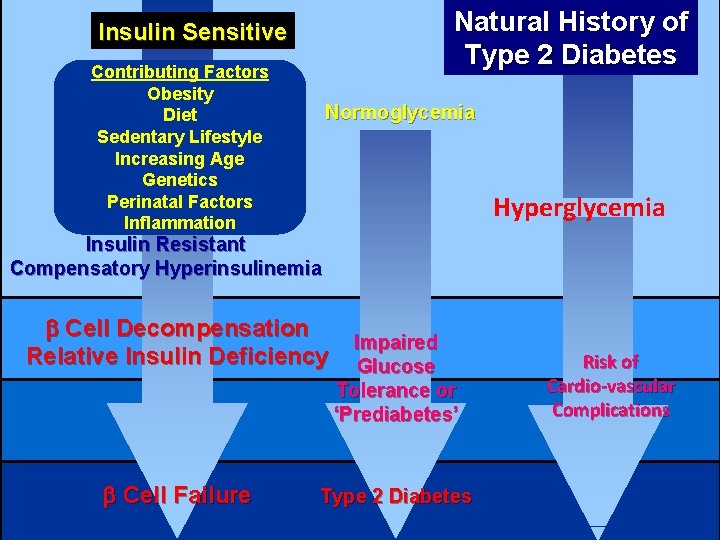 Natural History of Type 2 Diabetes Insulin Sensitive Contributing Factors Obesity Diet Sedentary Lifestyle