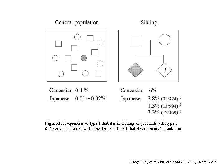 Figure 1. Frequencies of type 1 diabetes in siblings of probands with type 1