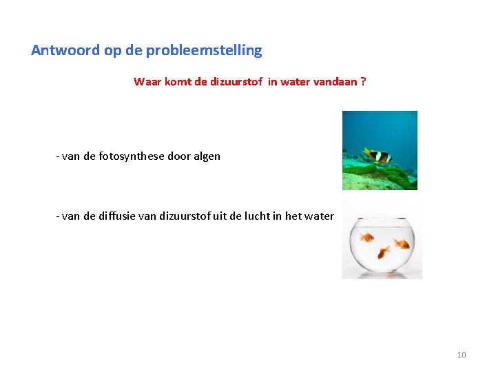 Antwoord op de probleemstelling Waar komt de dizuurstof in water vandaan ? - van