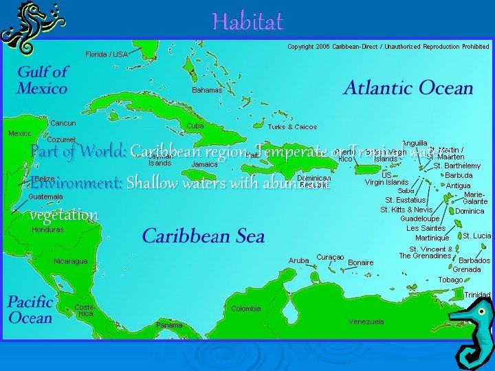 Habitat Part of World: Caribbean region, Temperate or Tropical waters Environment: Shallow waters with