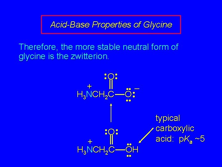 Acid-Base Properties of Glycine Therefore, the more stable neutral form of glycine is the