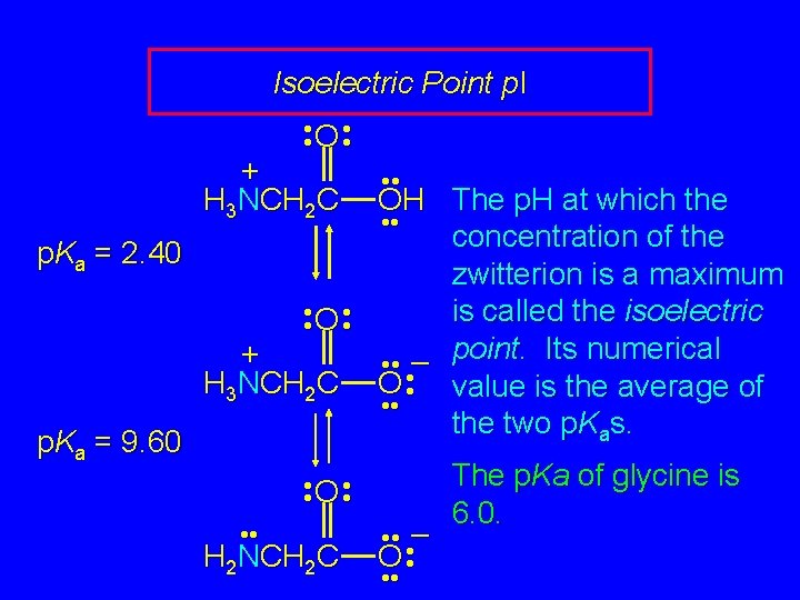Isoelectric Point p. I • • O • • + H 3 NCH 2