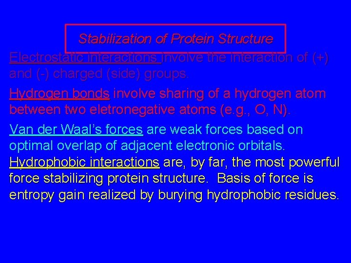 Stabilization of Protein Structure Electrostatic interactions involve the interaction of (+) and (-) charged