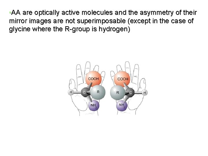  • AA are optically active molecules and the asymmetry of their mirror images