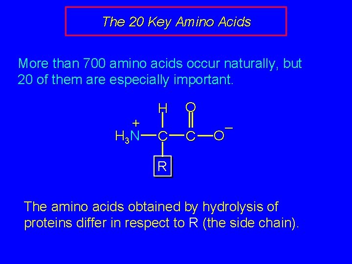 The 20 Key Amino Acids More than 700 amino acids occur naturally, but 20