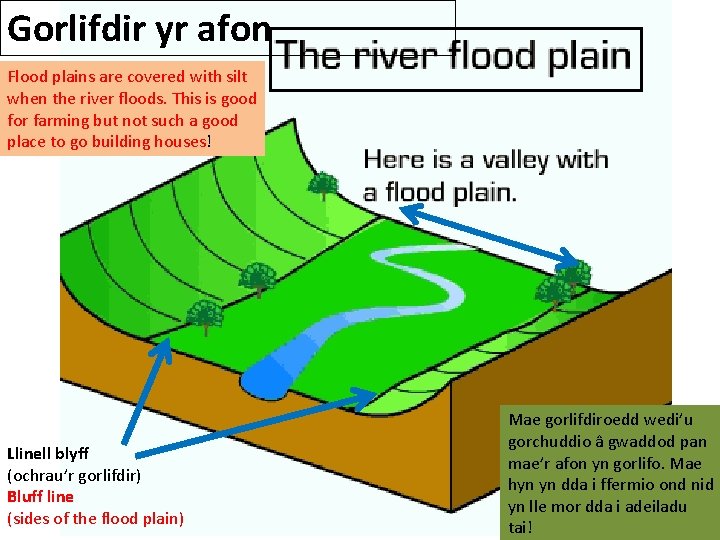 Gorlifdir yr afon Flood plains are covered with silt when the river floods. This