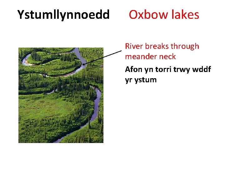 Ystumllynnoedd Oxbow lakes River breaks through meander neck Afon yn torri trwy wddf yr