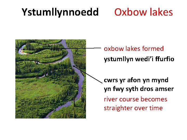 Ystumllynnoedd Oxbow lakes oxbow lakes formed ystumllyn wedi’i ffurfio cwrs yr afon yn mynd