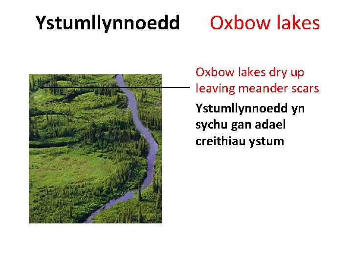 Ystumllynnoedd Oxbow lakes dry up leaving meander scars Ystumllynnoedd yn sychu gan adael creithiau