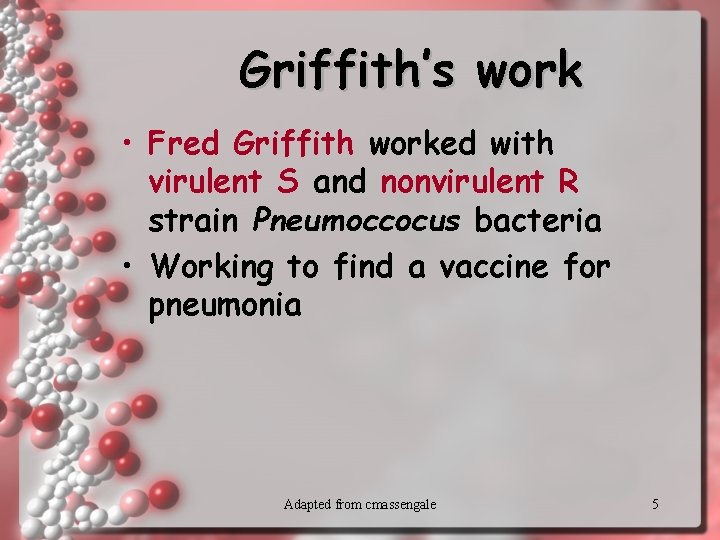 Griffith’s work • Fred Griffith worked with virulent S and nonvirulent R strain Pneumoccocus