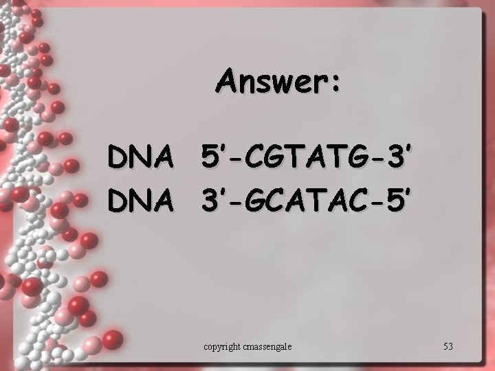 Answer: DNA 5’-CGTATG-3’ 3’-GCATAC-5’ copyright cmassengale 53 