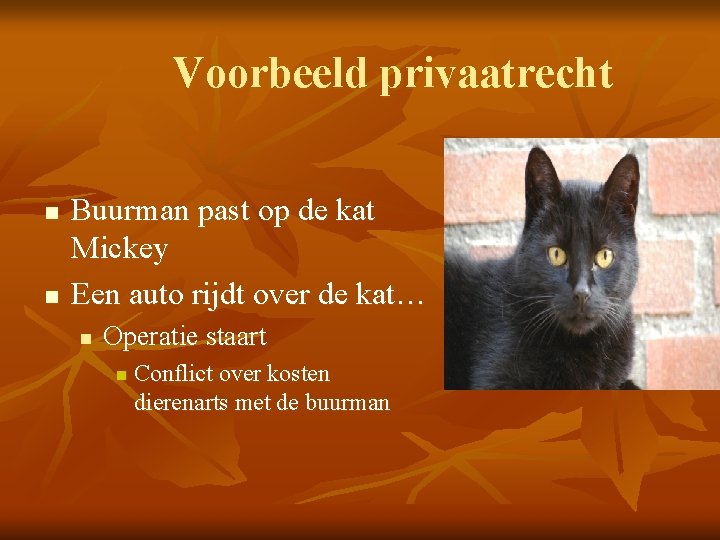 Voorbeeld privaatrecht n n Buurman past op de kat Mickey Een auto rijdt over