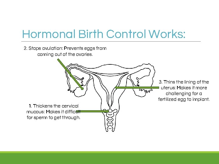 Hormonal Birth Control Works: 2. Stops ovulation: Prevents eggs from coming out of the