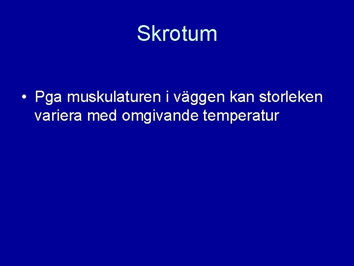 Skrotum • Pga muskulaturen i väggen kan storleken variera med omgivande temperatur 