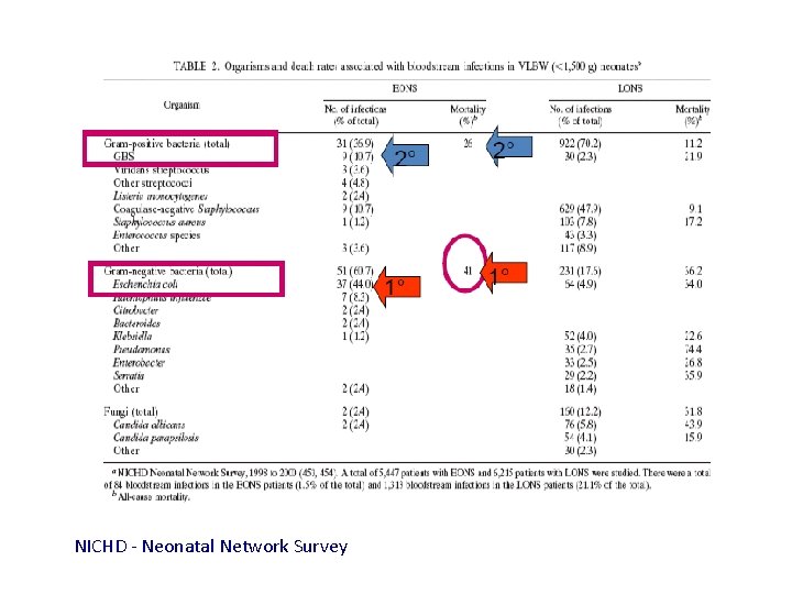 NICHD - Neonatal Network Survey 