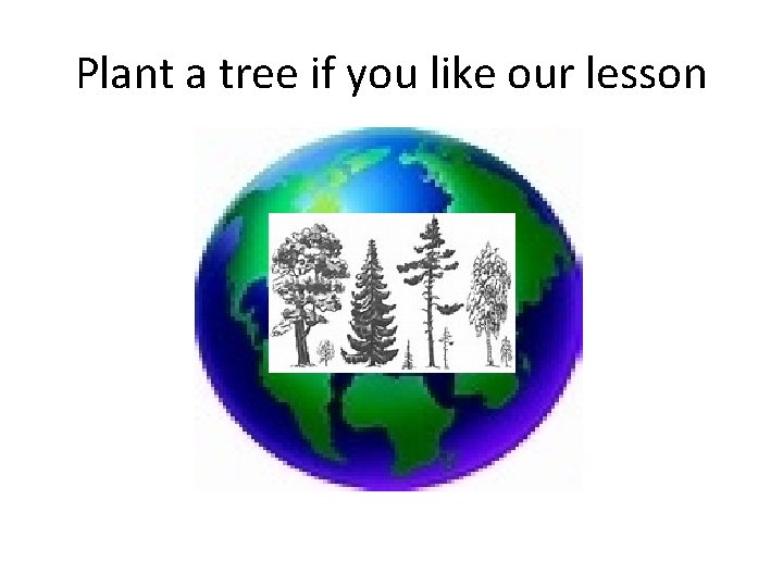 Plant a tree if you like our lesson 